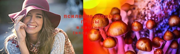 spice Богородицк